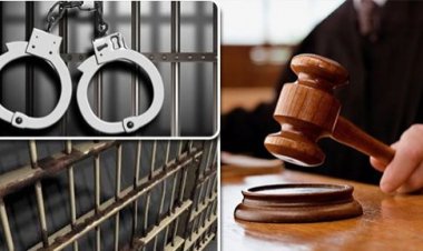 نشر صور إباحية مفبركة.. الحبس سنة لموظف بتهمة التشهير بطليقته بالزيتون