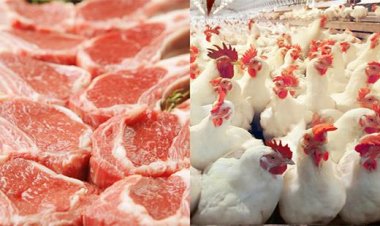 أسعار اللحوم الحمراء والدواجن بالأسواق.. اليوم الأربعاء 25- 5- 2022