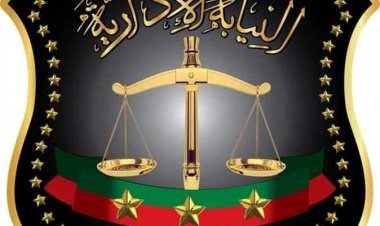 النيابة الإدارية توافق على ترقية ١٣٨٩ عضوًا بالهيئة 