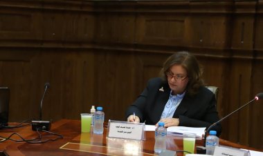 لجنة العلاقات الخارجية بالشيوخ تبحث إنشاء وكالة أدوية عربية