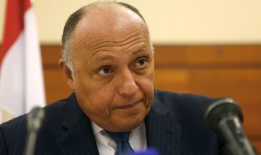 وزير الخارجية: مصر تؤكد اهتمامها بالتوصل إلى اتفاق بشأن ملء وتشغيل سد النهضة وفقا للقانون