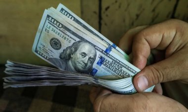 أسعار الدولار مقابل الجنيه في بداية تعاملات اليوم