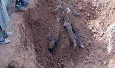 تفاصيل جديدة فى واقعة مقتل 5 من أسرة واحدة داخل مزرعة بالشيخ زايد