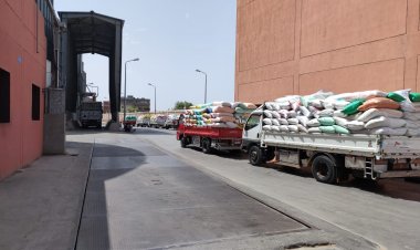 محافظ البحيرة: توريد 290 ألف طن قمح لشون وصوامع المحافظة