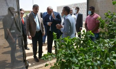 البنك الزراعي يمول مشروعات رواد الأعمال بالوادي الجديد