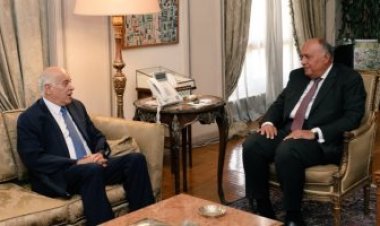 وزير الخارجية: مصر مستمرة في دعمها الراسخ للحقوق المشروعة للشعب الفلسطيني