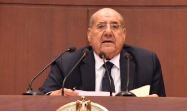 الشيوخ يقرر إحالة 20 تقرير للجان النوعية إلى الحكومة.. تعرف عليها