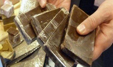 القبض على تشكيل عصابي بحوزتهم نصف طن «حشيش» بالإسكندرية