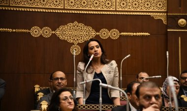 برلمانية توجه الشكر للرئيس السيسي لاهتمامه بقضايا ذوي الهمم