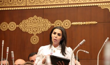 برلمانية: وزارة التخطيط طموحة ولكن خطتها بعيدة عن قدرات الوزارات المعنية