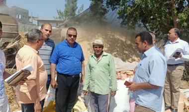 تحرير 105 محضر تمويني ضد أصحاب حيازات زراعية بالبحيرة