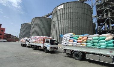 البحيرة: توريد 353 ألف طن قمح لشون وصوامع المحافظة