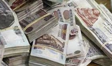 القبض على مستريحين لسرقتهما 35 مليون جنيه بالإسكندرية والغربية