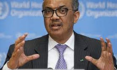 الصحة العالمية: الدولة المصرية استطاعت تحقيق الكثير من النجاحات