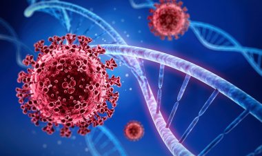 منظمة الصحة العالمية تحذر من سلالة «خطيرة» لفيروس كورونا