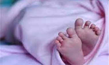 تفريغ الكاميرات وسؤال شهود العيان لحل لغز العثور على جثة رضيع في القمامة بالمعادي