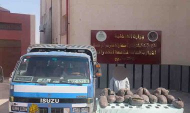 صور.. ضبط 70 ألف قرص تامول و40 كيلو بانجو بمطروح والبحيرة