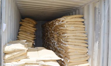 ضبط شحنة مواد خام تستخدم فى تصنيع أدوية المضادات الحيوية المحظور استيرادها