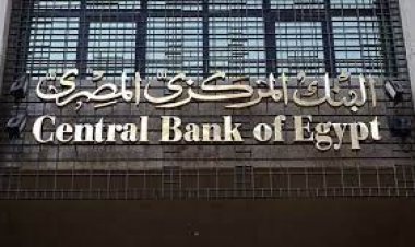 البنك المركزي: مصر سددت 24 مليار دولار التزامات خارجية