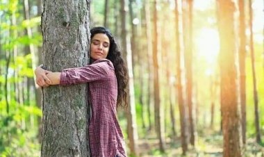 دراسة علمية تكشف: «عناق الأشجار» يقاوم الاكتئاب ويخفف الصداع