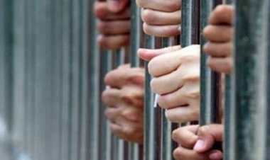 تشكيل عصابي يسرق أتوبيس شركة ويقطعه لأجزاء لإخفاء الجريمة