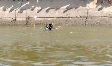 مصرع شخصين وإصابة 4 آخرين في حادث سقوط سيارة داخل ترعة بالبحيرة