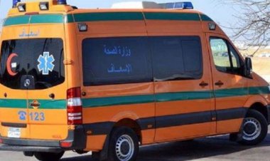 انقلاب تروسيكل وإصابة 6 عمال فى البحيرة