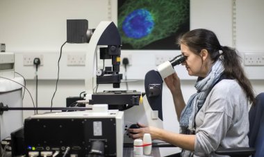 أدى لشفاء 12 مريضًا.. تجربة ناجحة لدواء جديد لعلاج السرطان