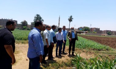 «تموين الأقصر» تحذر المزارعين: سنتخذ الإجراءات القانونية ضد الممتنعين عن توريد القمح