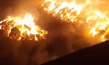 حريق هائل بمحصول الكتان بالغربية