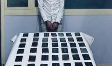 بـ3 ملايين جنيه.. ضبط 425 طربة «حشيش» بالإسكندرية 