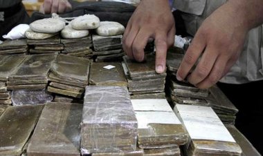 بـ74 مليون جنيه.. إحباط تهريب 9600 طربة «حشيش» و100 كيلو «هيدرو» 