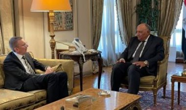 بدء جلسة المباحثات بين شكري ووزير خارجية لاتفيا