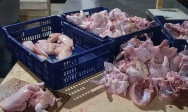 ضبط  5.5 طن لحوم ودواجن فاسدة داخل مطعم وثلاجة بالقاهرة