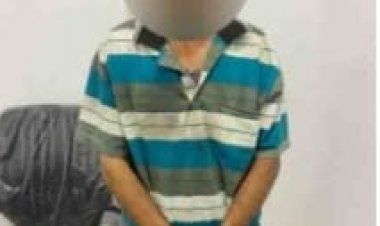 القبض على لص سرق سيارة نقل بالمرج في القاهرة