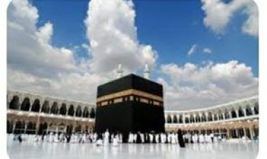 استعدادا لموسم الحج.. أمانة العاصمة المقدسة تعتمد 195 شركة من متعهّدي الإعاشة بمكة المكرمة