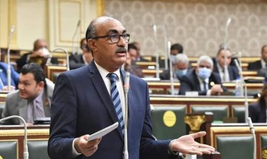  النائب إيهاب منصور يقدم طلب إحاطة لوزير قطاع الأعمال ضد تصفية شركة النصر لصناعة الكوك