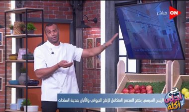 بالفيديو.. علاء الشربيني: كل يوم بنلاقي مشروعات جديدة تمس المواطن