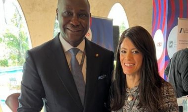 المشاط ورئيس مؤسسة التمويل الإفريقية يبحثان التعاون الثنائي