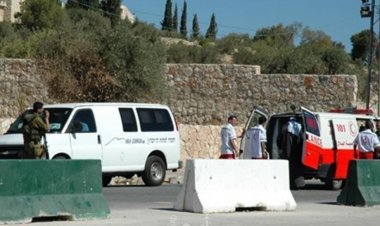 مستوطنون يعتدون على فلسطيني بالضرب وإلقائه خلف «بناية»