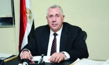 الزراعة والتضامن يوزعان الدفعة الثانية من مشروعات الأغنام على المستفيدين بشمال سيناء  