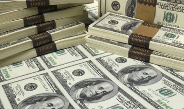 استقرار سعر الدولار مقابل الجنيه المصري.. بداية تعاملات اليوم الثلاثاء