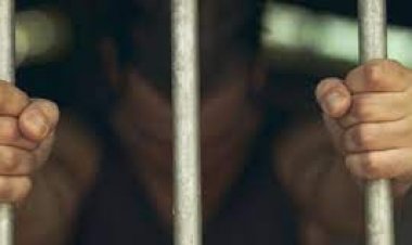 سقوط رجل أعمال هارب من 156 سنة سجن أثناء اختبائه بحلوان