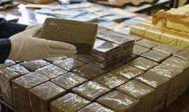 إحباط محاولة ترويج 150 فرش حشيش في الإسكندرية بمليون جنيه