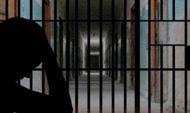 تفاصيل القبض على أصحاب مواقع «يلا شوت» و «نيوز» و «carsho» لسرقتهم المحتويات المشفرة