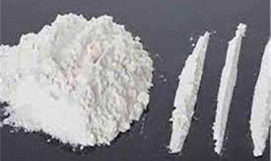 السجن المؤبد لصاحب شركة بتهمة الاتجار في «الهيروين» بمصر القديمة