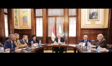 الزراعة والفاو يتفقان على عقد المؤتمر الإقليمي لحماية النباتات في مصر.. نوفمبر المقبل  