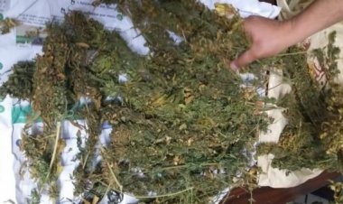 ضبط 18 كيلو «بانجو» بحوزة شخصين بالدقهلية