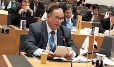 الجمارك تتجه نحو «الاقتصاد الأخضر».. تزامنًا مع استضافة «قمة المناخ» 