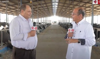 بالفيديو.. نائب وزير الزراعة يكشف خطة الدولة لتنمية الثروة الحيوانية